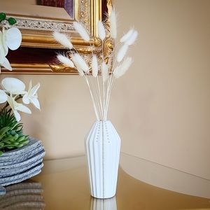 Pampas Grass Stems Bunny Tails + Vase